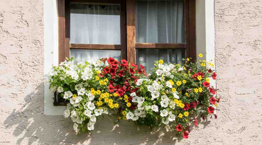 Janelas: 20 modelos para você se inspirar