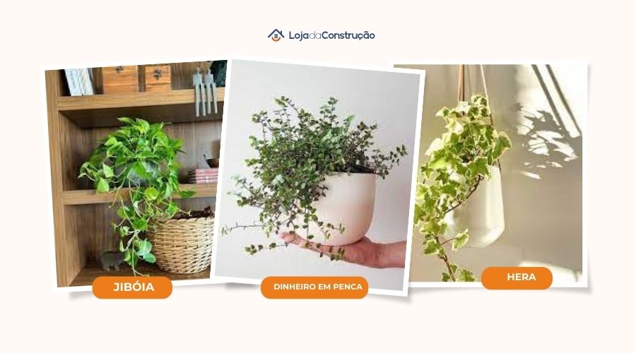 plantas para painel de tv